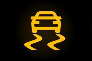 electronic stability control -prepurchase car inspector