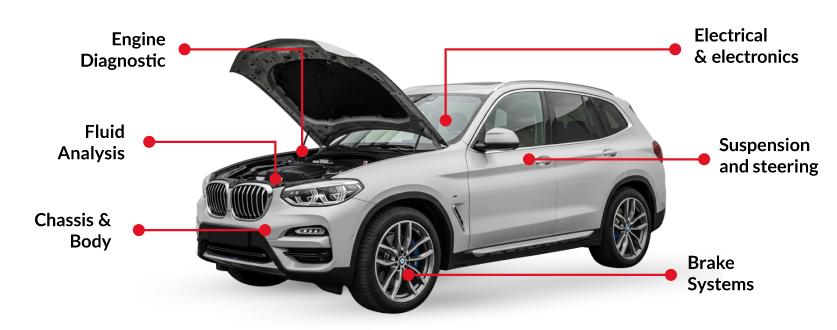Car Inspection Diagram
